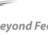 Beyond Feedback Login